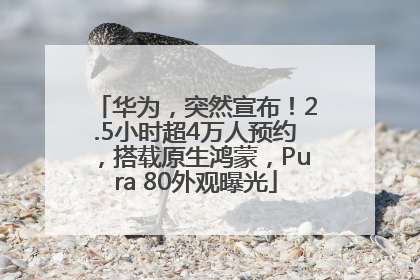 华为，突然宣布！2.5小时超4万人预约，搭载原生鸿蒙，Pura 80外观曝光
