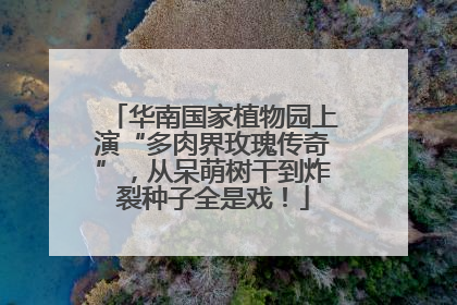 华南国家植物园上演“多肉界玫瑰传奇”，从呆萌树干到炸裂种子全是戏！