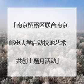 南京栖霞区联合南京邮电大学启动校地艺术共创主题月活动