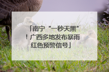 南宁“一秒天黑”！广西多地发布暴雨红色预警信号