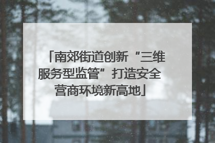 南郊街道创新“三维服务型监管”打造安全营商环境新高地