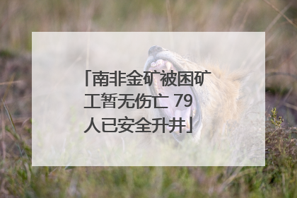 南非金矿被困矿工暂无伤亡 79人已安全升井