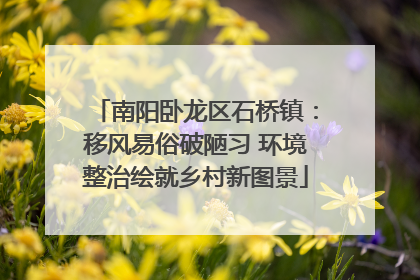 南阳卧龙区石桥镇：移风易俗破陋习 环境整治绘就乡村新图景