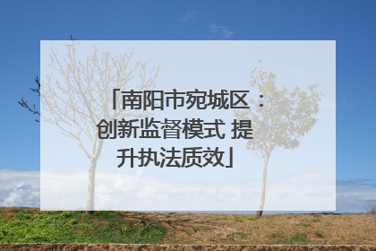南阳市宛城区：创新监督模式 提升执法质效