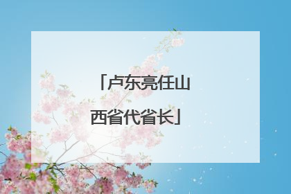 卢东亮任山西省代省长