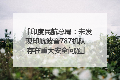 印度民航总局：未发现印航波音787机队存在重大安全问题