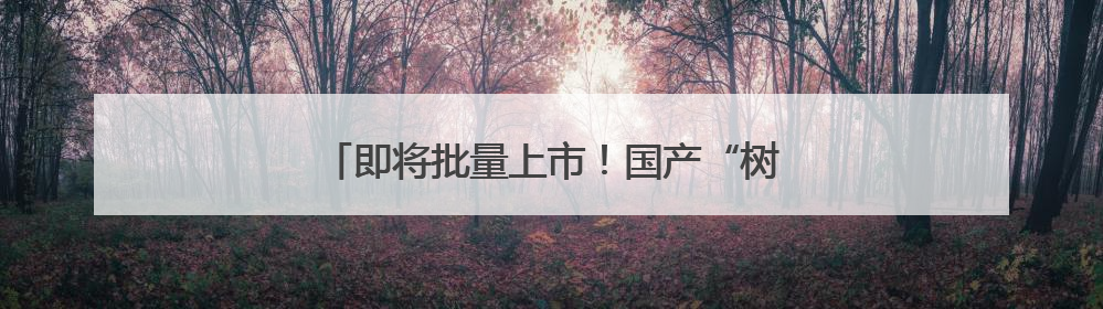 即将批量上市！国产“树上熟”榴莲有啥优势？