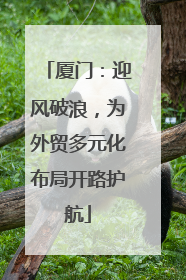 厦门：迎风破浪，为外贸多元化布局开路护航