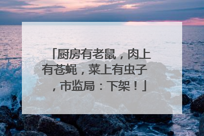 厨房有老鼠，肉上有苍蝇，菜上有虫子，市监局：下架！