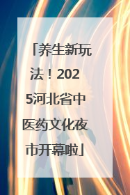 养生新玩法！2025河北省中医药文化夜市开幕啦
