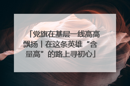 党旗在基层一线高高飘扬丨在这条英雄“含量高”的路上寻初心