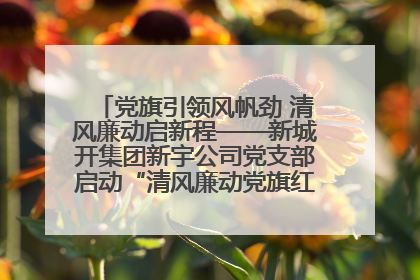 党旗引领风帆劲 清风廉动启新程——新城开集团新宇公司党支部启动“清风廉动党旗红”系列活动