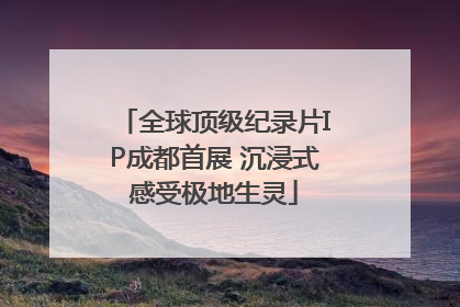 全球顶级纪录片IP成都首展 沉浸式感受极地生灵