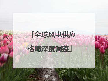 全球风电供应格局深度调整