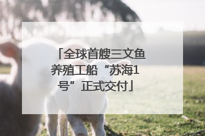全球首艘三文鱼养殖工船“苏海1号”正式交付
