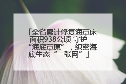 全省累计修复海草床面积938公顷 守护“海底草原”，织密海底生态“一张网”