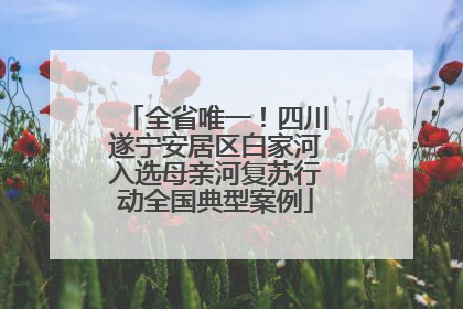全省唯一！四川遂宁安居区白家河入选母亲河复苏行动全国典型案例