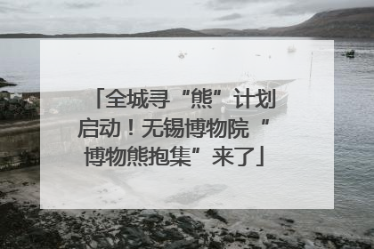全城寻“熊”计划启动！无锡博物院“博物熊抱集”来了