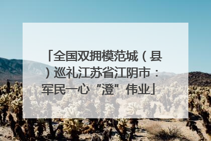 全国双拥模范城（县）巡礼江苏省江阴市：军民一心“澄”伟业