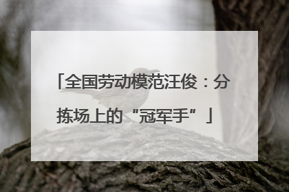全国劳动模范汪俊：分拣场上的“冠军手”