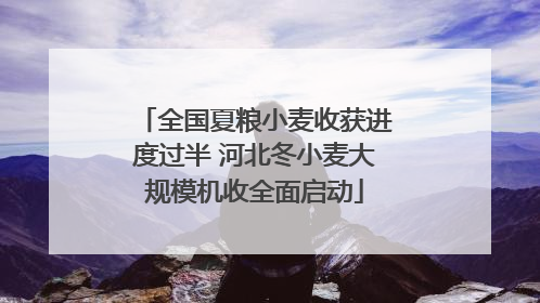 全国夏粮小麦收获进度过半 河北冬小麦大规模机收全面启动