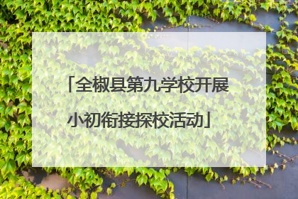 全椒县第九学校开展小初衔接探校活动