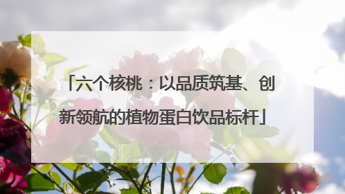 六个核桃：以品质筑基、创新领航的植物蛋白饮品标杆