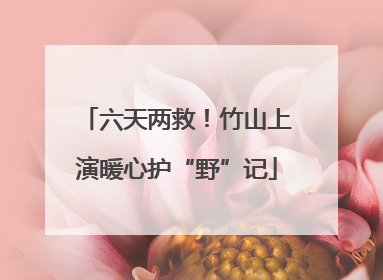 六天两救！竹山上演暖心护“野”记