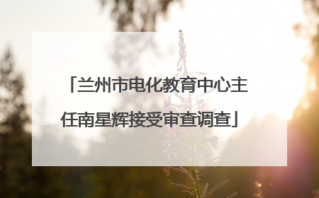 兰州市电化教育中心主任南星辉接受审查调查