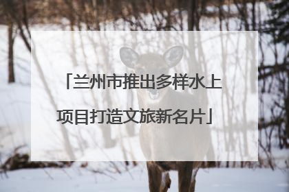 兰州市推出多样水上项目打造文旅新名片