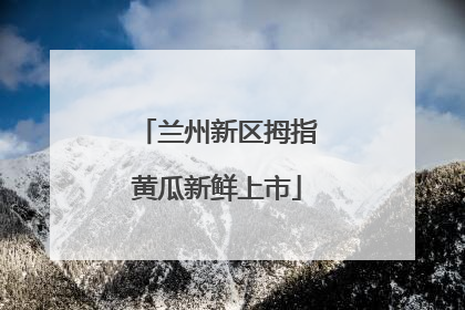 兰州新区拇指黄瓜新鲜上市