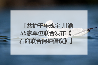 共护千年瑰宝 川渝55家单位联合发布《石窟联合保护倡议》