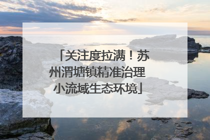 关注度拉满！苏州渭塘镇精准治理小流域生态环境