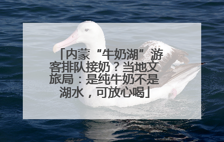 内蒙“牛奶湖”游客排队接奶？当地文旅局：是纯牛奶不是湖水，可放心喝