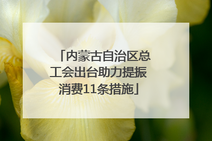 内蒙古自治区总工会出台助力提振消费11条措施