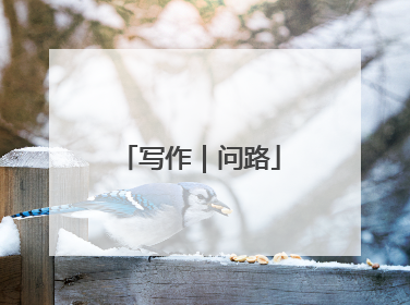 写作|问路