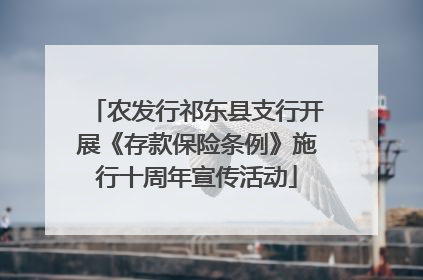 农发行祁东县支行开展《存款保险条例》施行十周年宣传活动