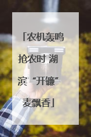 农机轰鸣抢农时 湖滨“开镰”麦飘香