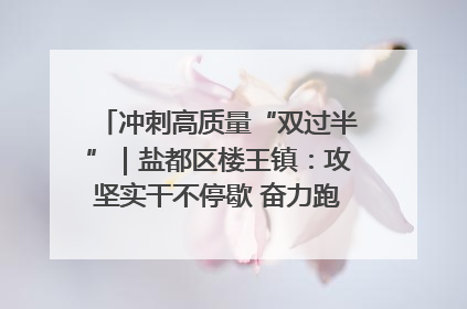 冲刺高质量“双过半”｜盐都区楼王镇：攻坚实干不停歇 奋力跑赢“上半场”