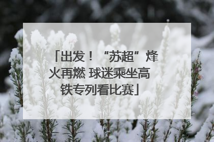 出发！“苏超”烽火再燃 球迷乘坐高铁专列看比赛