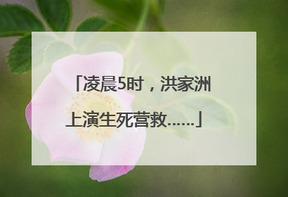 凌晨5时，洪家洲上演生死营救……
