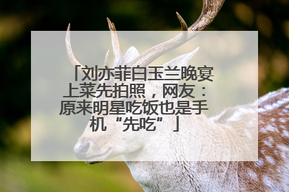 刘亦菲白玉兰晚宴上菜先拍照，网友：原来明星吃饭也是手机“先吃”