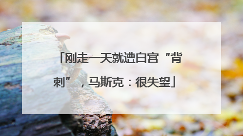 刚走一天就遭白宫“背刺”，马斯克：很失望