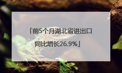 前5个月湖北省进出口同比增长26.9%