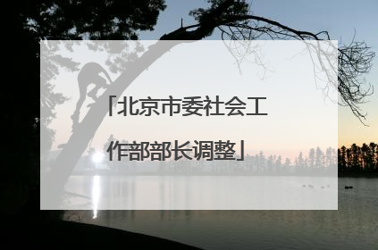 北京市委社会工作部部长调整