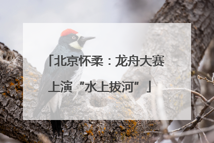 北京怀柔：龙舟大赛上演“水上拔河”
