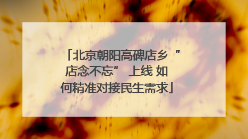 北京朝阳高碑店乡“店念不忘” 上线 如何精准对接民生需求