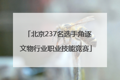 北京237名选手角逐文物行业职业技能竞赛
