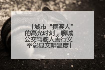 城市“摆渡人”的高光时刻，聊城公交驾驶人善行义举彰显文明温度