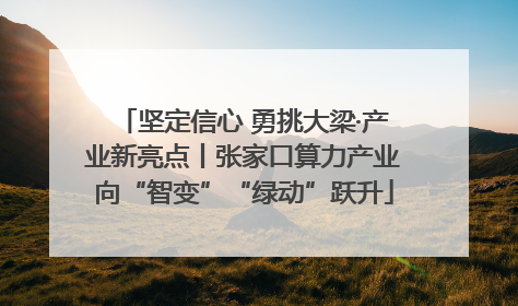 坚定信心 勇挑大梁·产业新亮点丨张家口算力产业向“智变”“绿动”跃升
